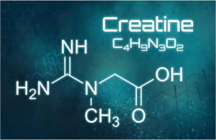 creatina monohidrato
