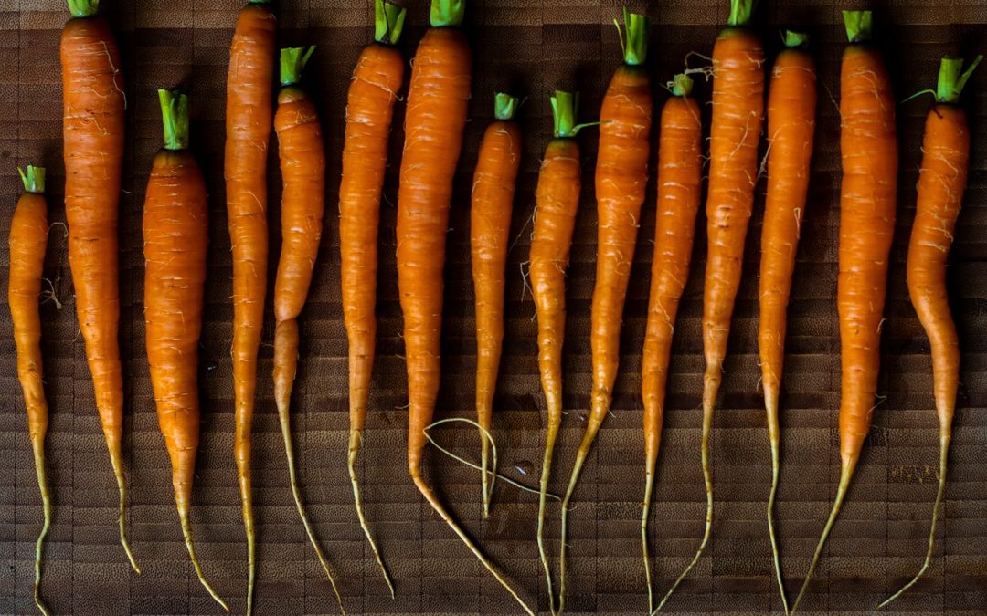 Deliciosas Recetas con Zanahoria para Cocinar Fácil y Rápido